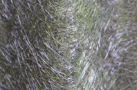 East Hatch fibreglass roof work